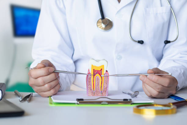 Best Emergency Gum Pain Relief  in South Amherst, OH